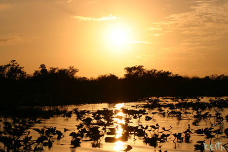the art of kEith ::: photo ::: glades