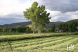 the art of kEith